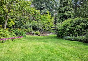 Optimiser l'expérience du jardin à Saint-Etienne-de-Gourgas